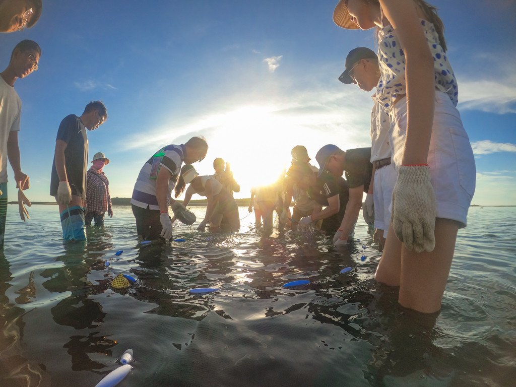 石斑豐魚季半日遊｜阿婆抱墩｜永續潮間帶半日遊 ｜ 珊瑚礁旅遊